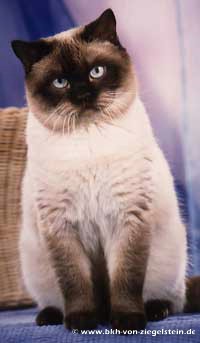 zum Vergr&ouml;&szlig;ern klicken