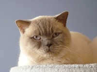 zum Vergr&ouml;&szlig;ern klicken