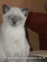 zum Vergr&ouml;&szlig;ern klicken