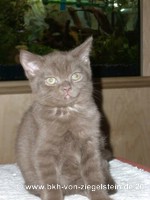 zum Vergr&ouml;&szlig;ern klicken