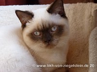 zum Vergr&ouml;&szlig;ern klicken