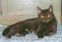 zum Vergr&ouml;&szlig;ern klicken