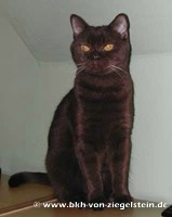 zum Vergr&ouml;&szlig;ern klicken