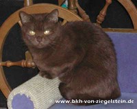 zum Vergr&ouml;&szlig;ern klicken