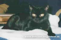 zum Vergr&ouml;&szlig;ern klicken