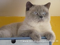 zum Vergr&ouml;&szlig;ern klicken