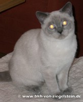 zum Vergr&ouml;&szlig;ern klicken