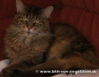 zum Vergr&ouml;&szlig;ern klicken