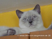 zum Vergr&ouml;&szlig;ern klicken