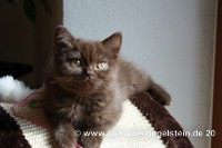 zum Vergr&ouml;&szlig;ern klicken