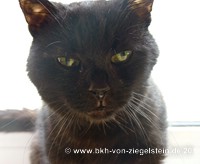 zum Vergr&ouml;&szlig;ern klicken