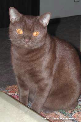 zum Vergr&ouml;&szlig;ern klicken