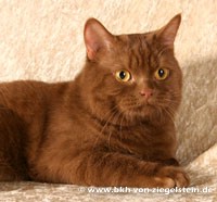 zum Vergr&ouml;&szlig;ern klicken