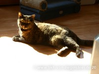 zum Vergr&ouml;&szlig;ern klicken