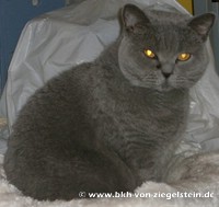 zum Vergr&ouml;&szlig;ern klicken