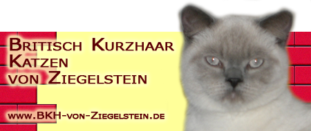 BKH-von-Zieglestein Banner