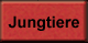 Jungtiere